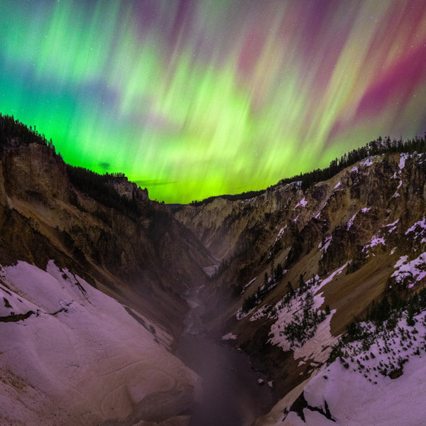 Northern Lights from the Brink of the Lower Falls 2026 Yellowstone Forever Calendar Contest winning image of the northern lights dancing above the Grand Canyon of the Yellowstone as seen from the Brink of the Lower Falls.