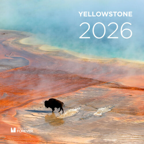 Yellowstone Forever 2027 Calendar Photo Contest