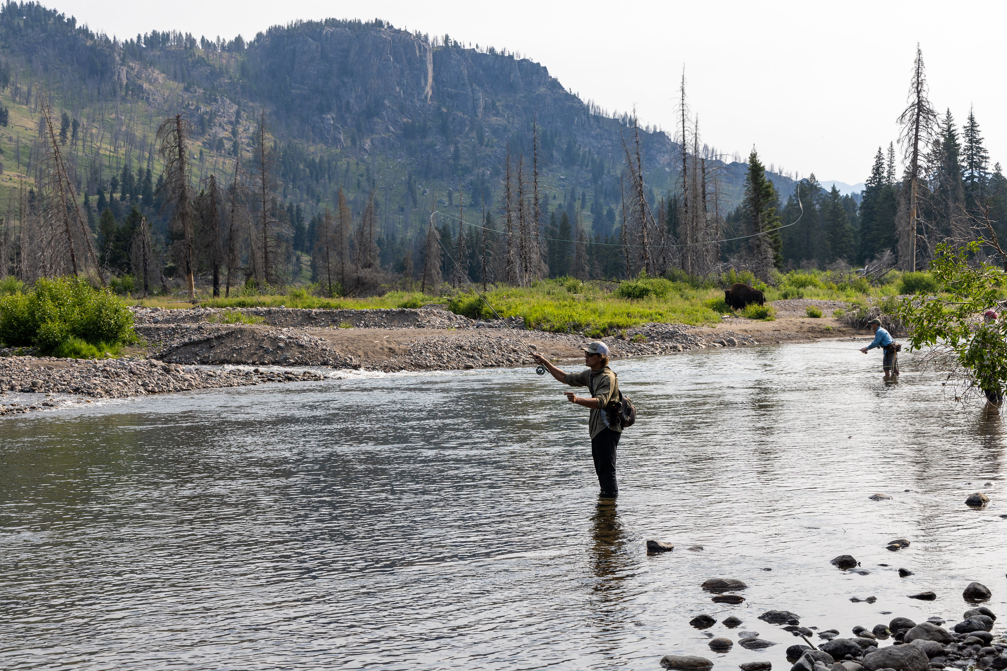 Fly fishing volunteers on Slough Creek YF Matt Ludin
