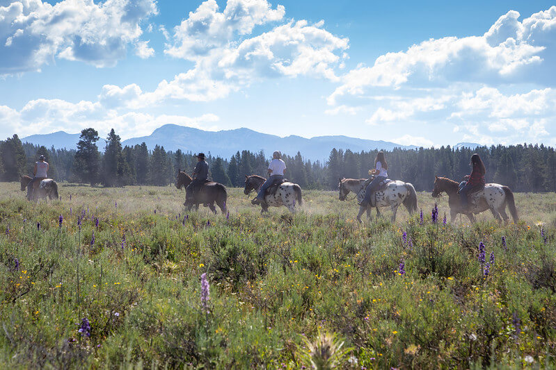 Nez Perce Appaloosa Horse Club Ride and Parade Pelican Valley Trail