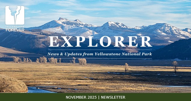 e-news-header-nov-2025