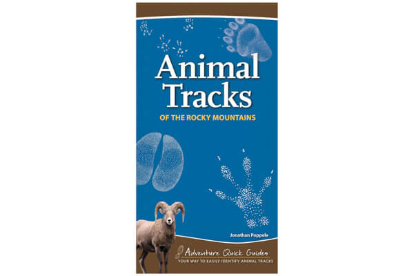 animal-tracks-of-rocky-mountains-book