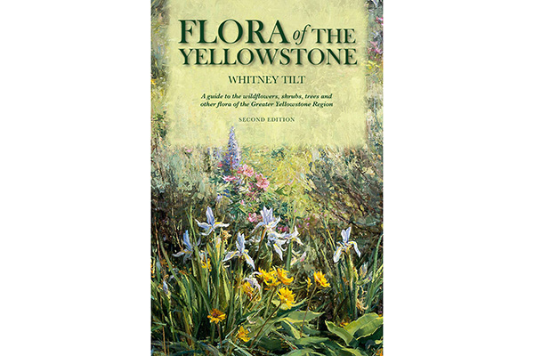flora-of-the-yellowstone-600x400 Book cover of Flora of the Yellowstone by Whitney Tilt, featuring illustrated wildflowers and plants with green and yellow tones, and text detailing the second edition guide to the Greater Yellowstone Region.