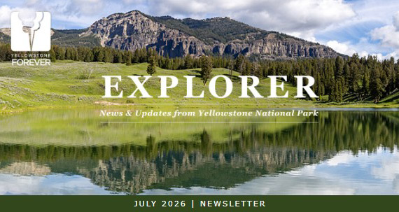 A scenic lake with forest and mountains, under the text EXPLORER: News & Updates from Yellowstone National Park. YELLOWSTONE FOREVER logo is at the top left. Bottom text: July 2026 | Newsletter.