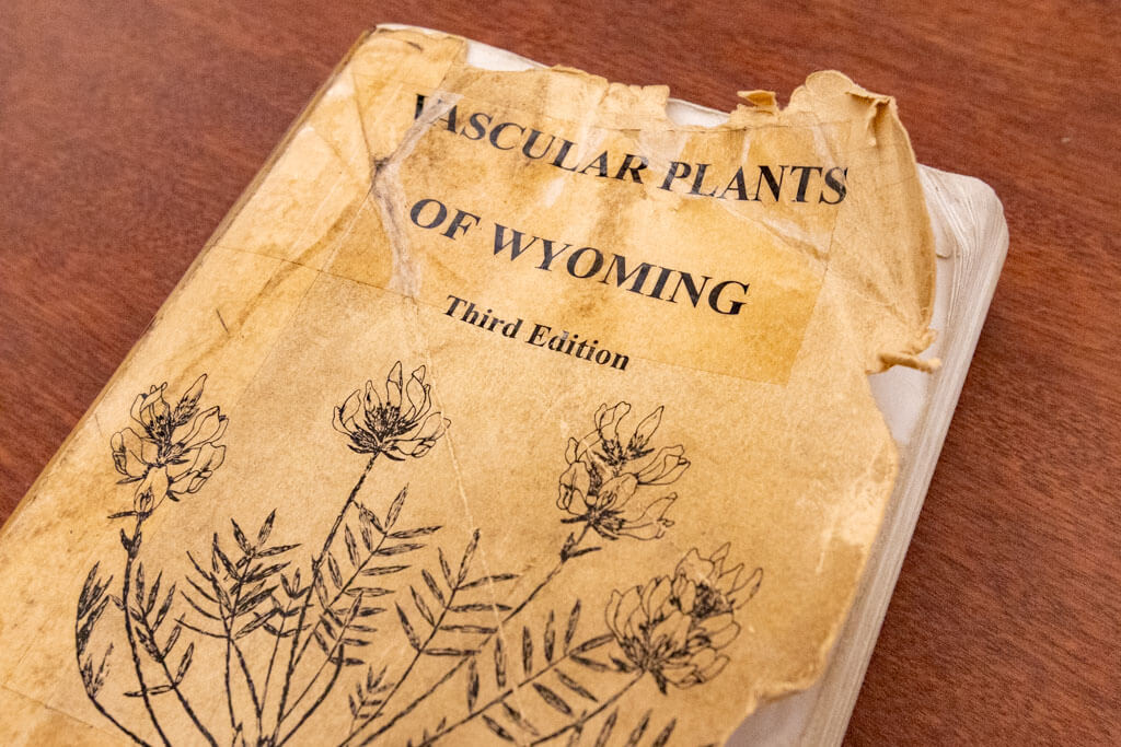 A worn, yellowed book titled Vascular Plants of Wyoming, Third Edition with a botanical illustration on the cover, lying on a wooden surface.