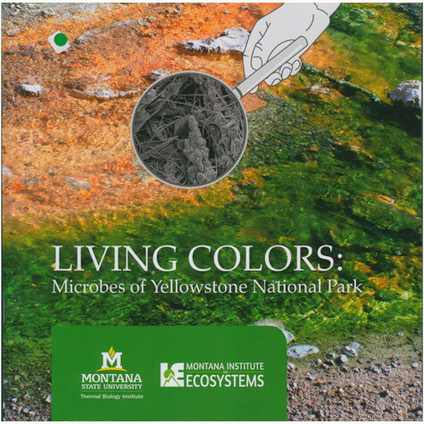 Cover image showing a hand holding a magnifying glass over colorful microbial mats in Yellowstone, zooming in on microbes. Text reads: Living Colors: Microbes of Yellowstone National Park. Logos at the bottom.
