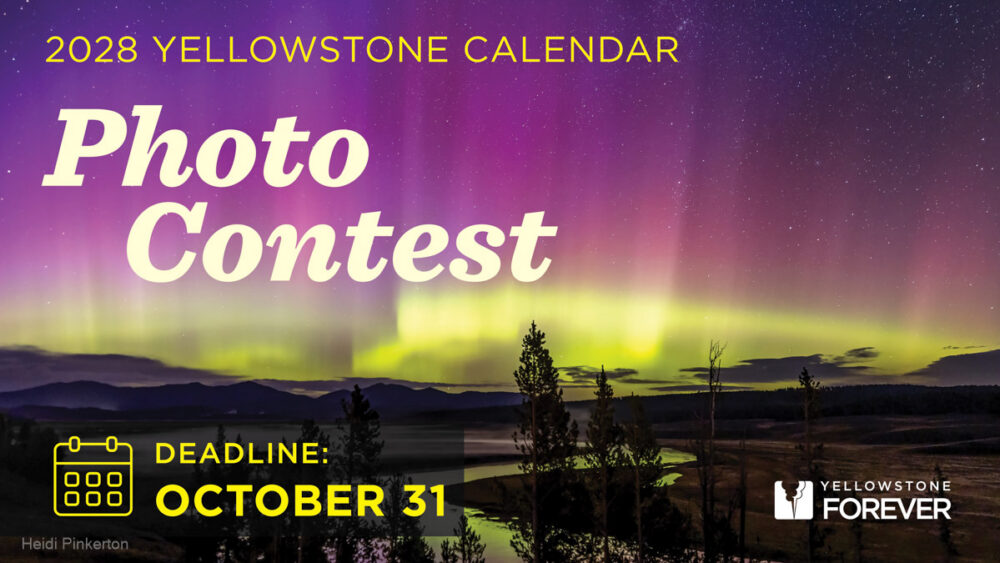 Colorful aurora lights in the night sky over Yellowstone, with text: 2028 Yellowstone Calendar Photo Contest. Deadline: October 31. Yellowstone Forever and calendar icons included.