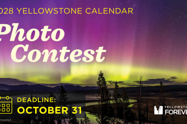 Colorful aurora lights in the night sky over Yellowstone, with text: 2028 Yellowstone Calendar Photo Contest. Deadline: October 31. Yellowstone Forever and calendar icons included.