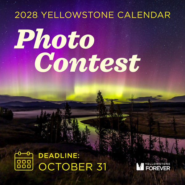 2028 Yellowstone Calendar Photo Contest advertisement featuring a river under the aurora borealis, with a submission deadline of October 31.