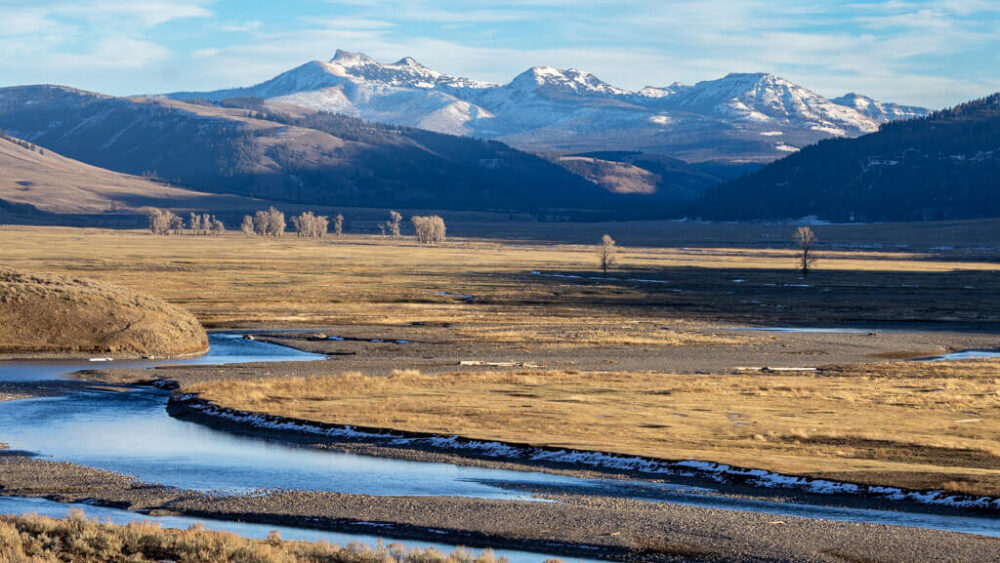 A winding river flows through a wide, golden valley with snow-capped mountains in the distance.