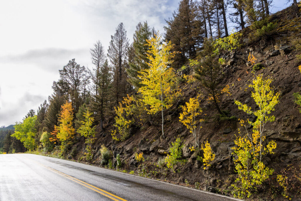 A wet asphalt road curving past a rocky hillside dotted with autumn trees in shades of yellow and orange.