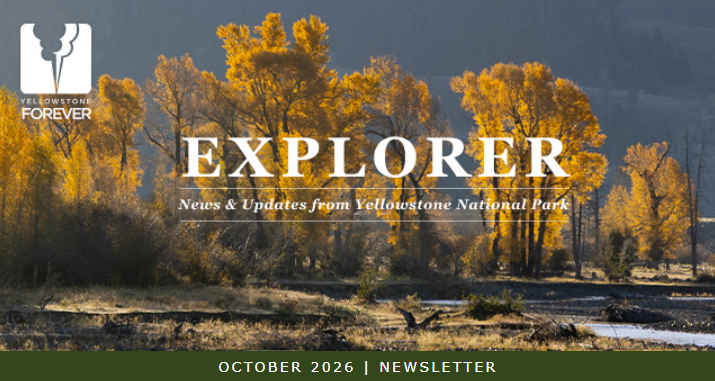 Yellowstone Forever Explorer newsletter for October 2026, featuring a landscape of autumn trees along a river.