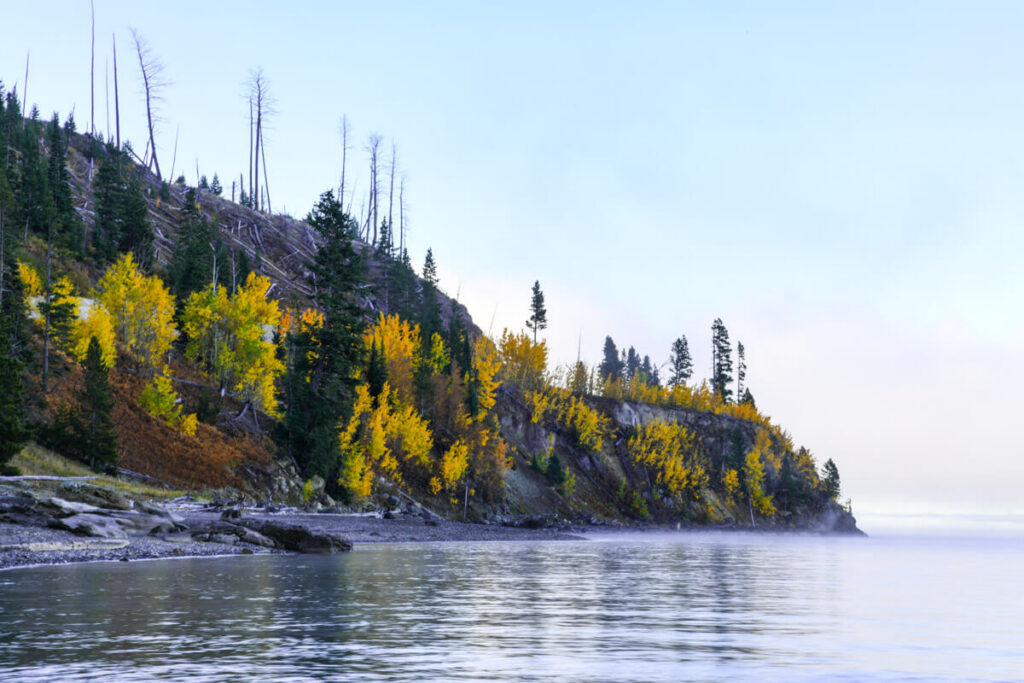 A rocky shoreline beneath a hillside of autumn trees with yellow leaves, overlooking a misty lake.